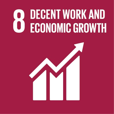 SDG 8: Decent Work & Economic Growth